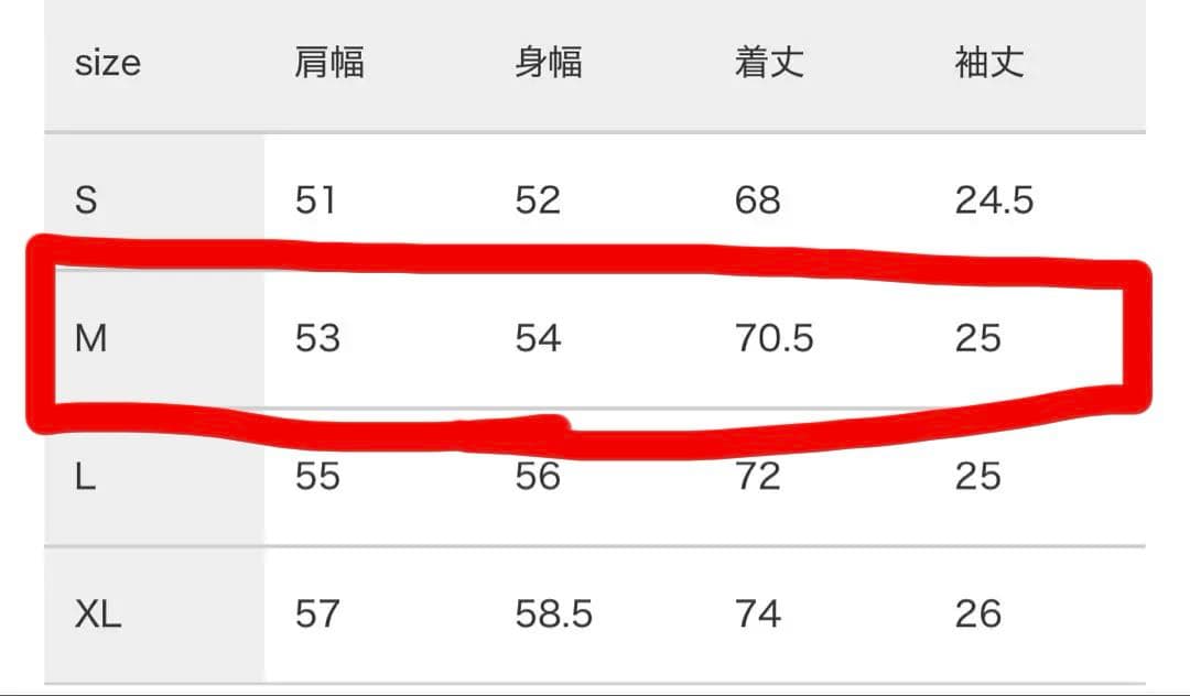 ☆新品未使用☆TFW49 ゴルフシャツ　※上着のみ