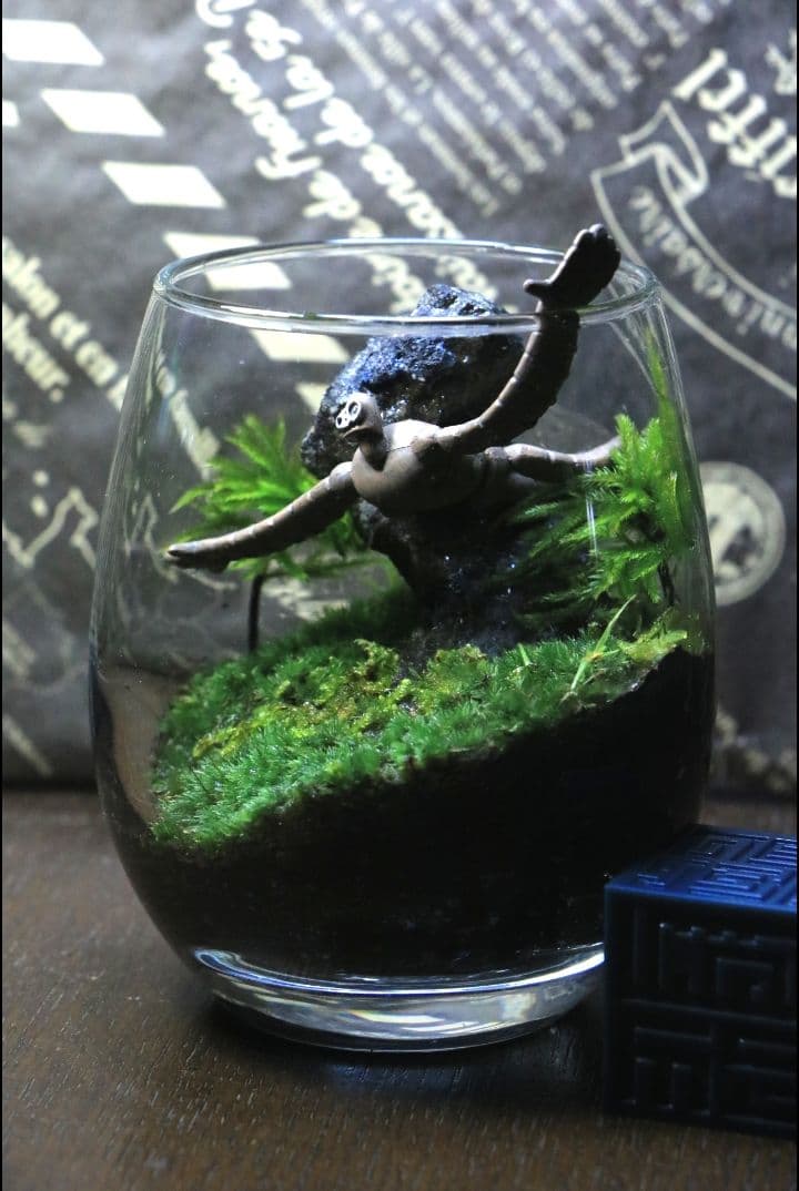 苔テラリウム　シングル、ダブル、トリプル　ロボット兵　心癒す我が家のオアシス