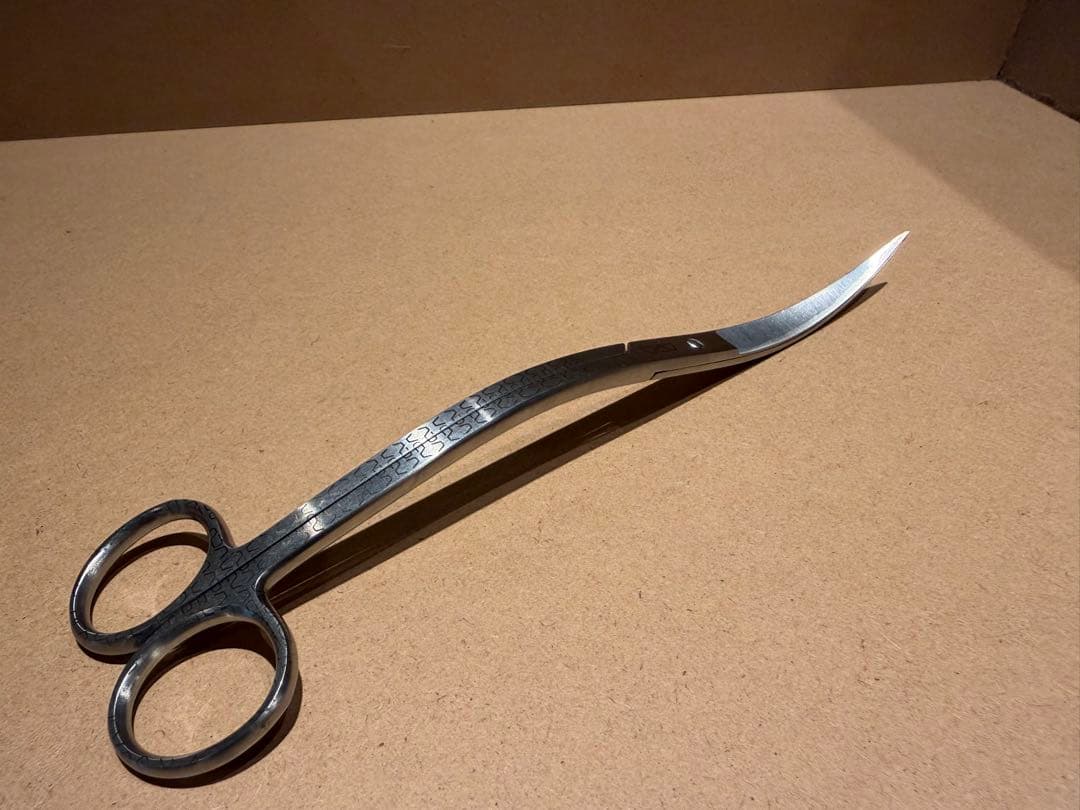 美品　ADA 限定柄　プロシザースフェーブ