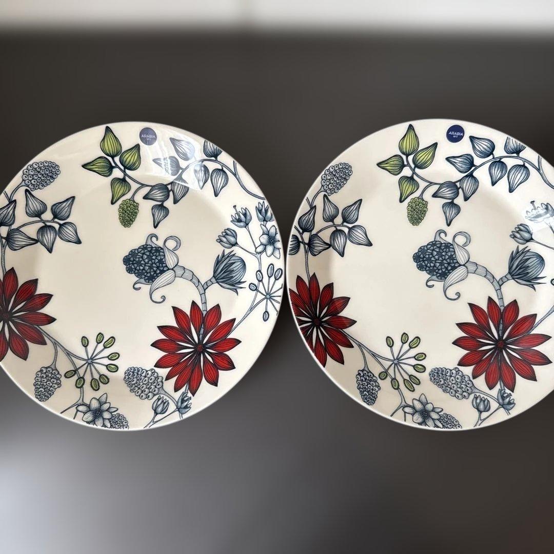 アラビア ルノ サマーレイ プレート 26cm