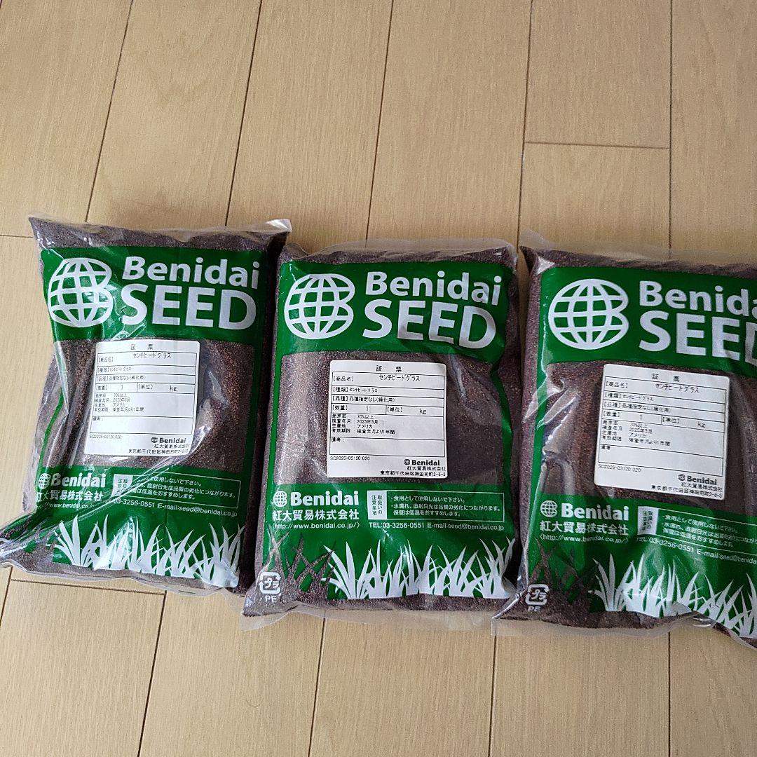 【あれっぽのねずみさま専用】Benidai センチピードグラス 1kg