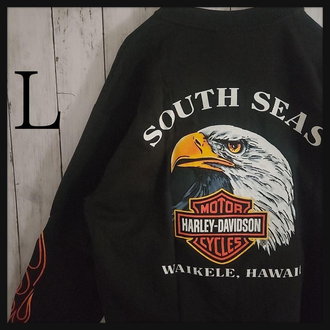 【激レア】ハーレーダビットソン ロンT