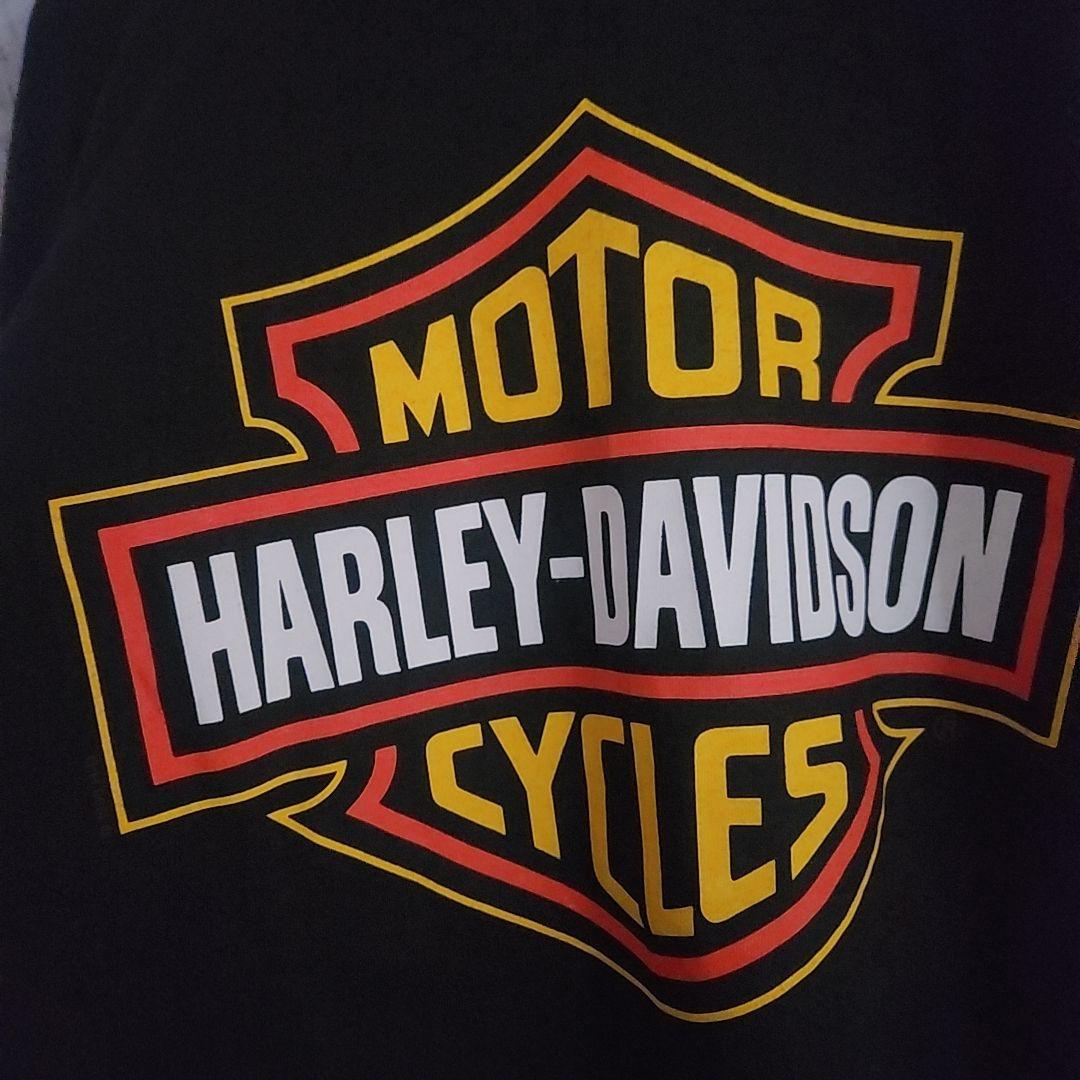 【激レア】ハーレーダビットソン ロンT