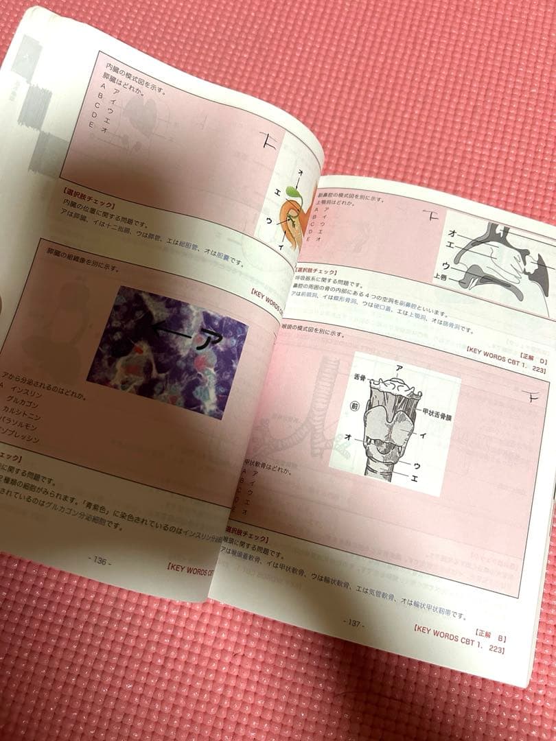 CBTの辞典　歯科