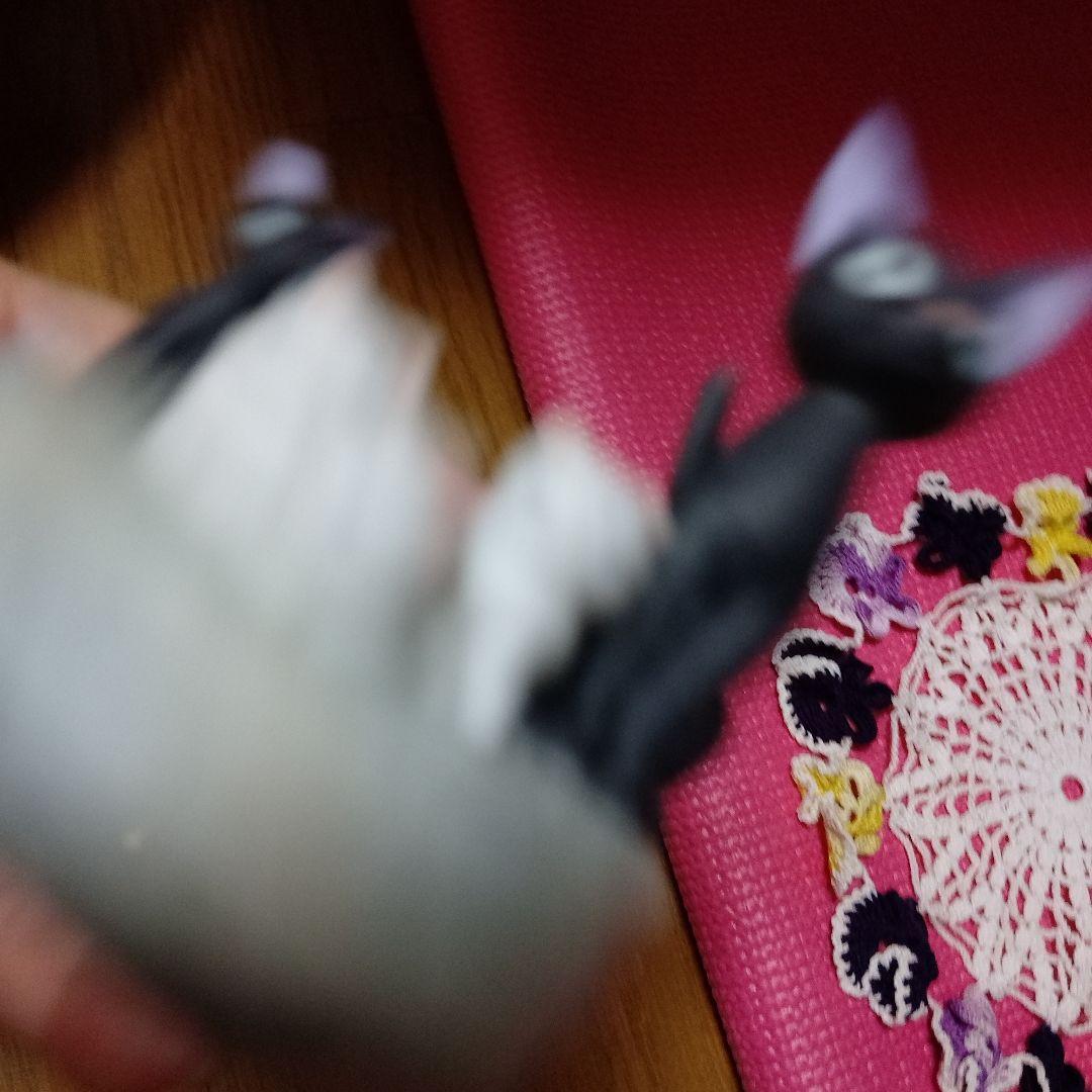 レア❥（美品）ジブリ 魔女の宅急便 オルゴール ジジと子猫達❦ レトロ❦タオル❦