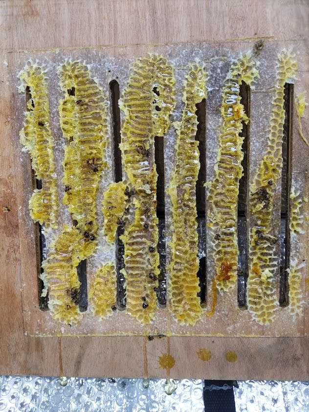 日本蜜蜂 重箱式巣箱4段 スライド底板 付巣門台座　スノコ付き　セット割有