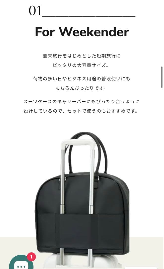 Aww サボテンレザー ウィークエンドボストンバッグ