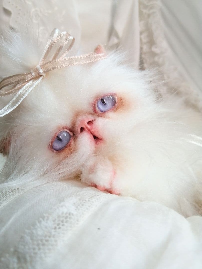 エキゾチックロングヘア♡一歳の子猫ちゃん♡美人さん♡アートドール♡ぬいぐるみ♡