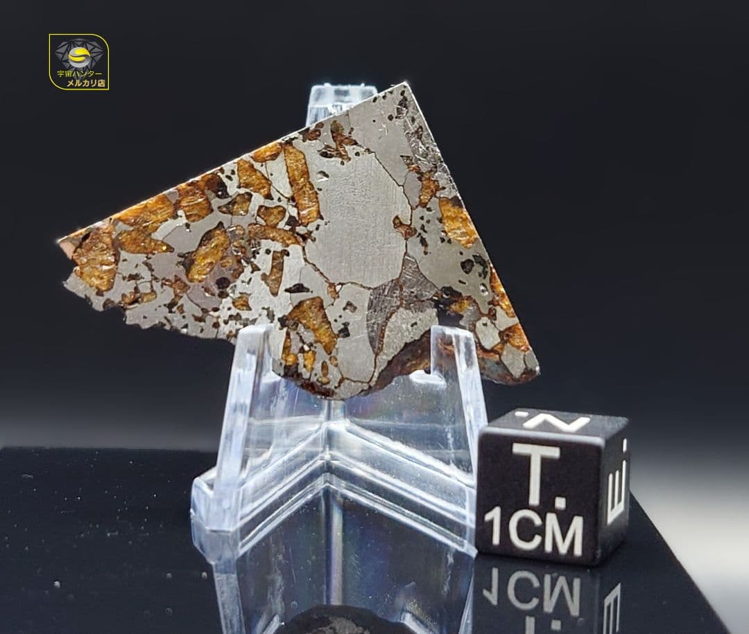 隕石 Hassi El Biod 002 パラサイト 12.23g⭐