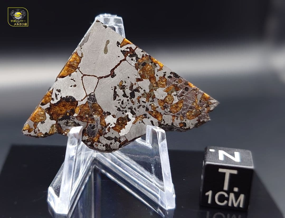 隕石 Hassi El Biod 002 パラサイト 12.23g⭐