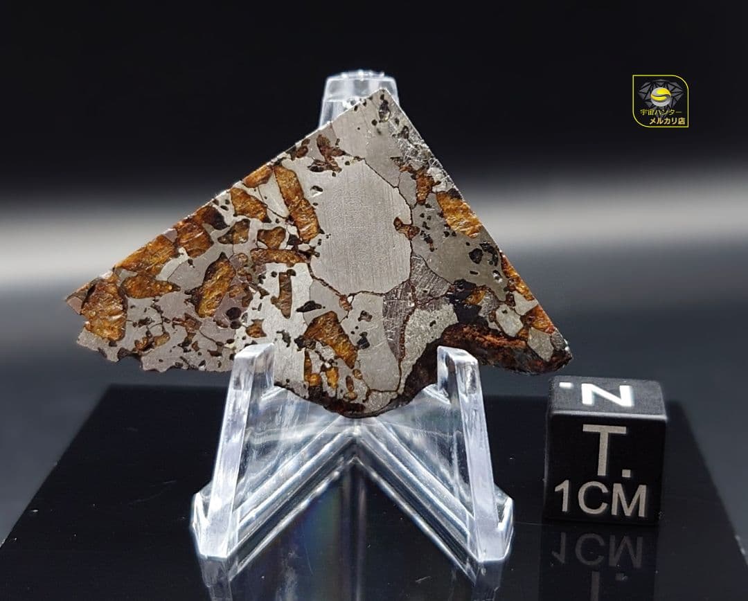 隕石 Hassi El Biod 002 パラサイト 12.23g⭐