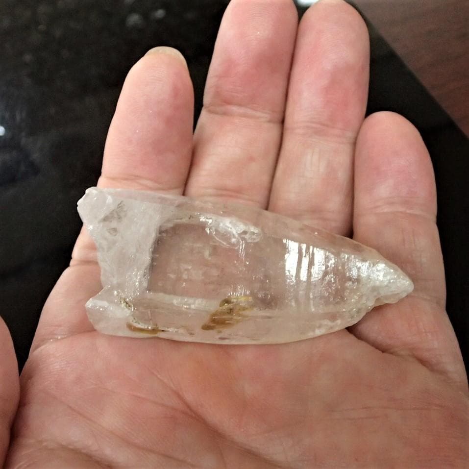 値下しました！ティップリン産ポイント-48-1