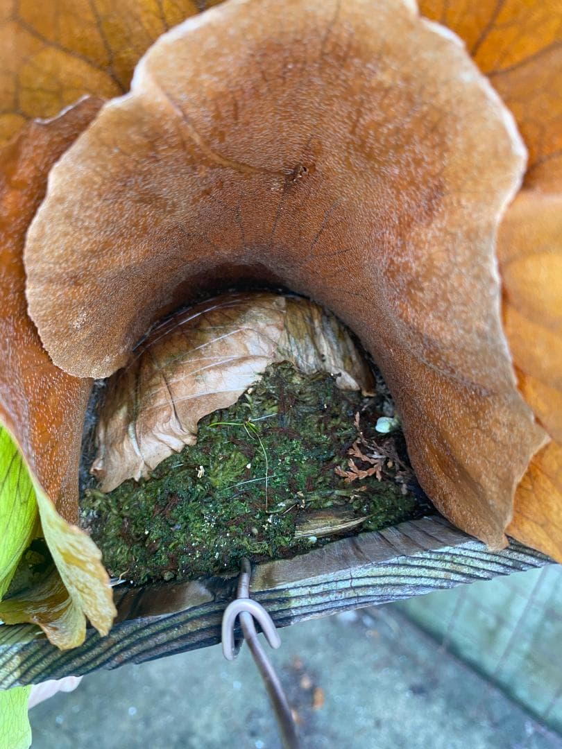 y*o様 フルムーン　大株　10/26