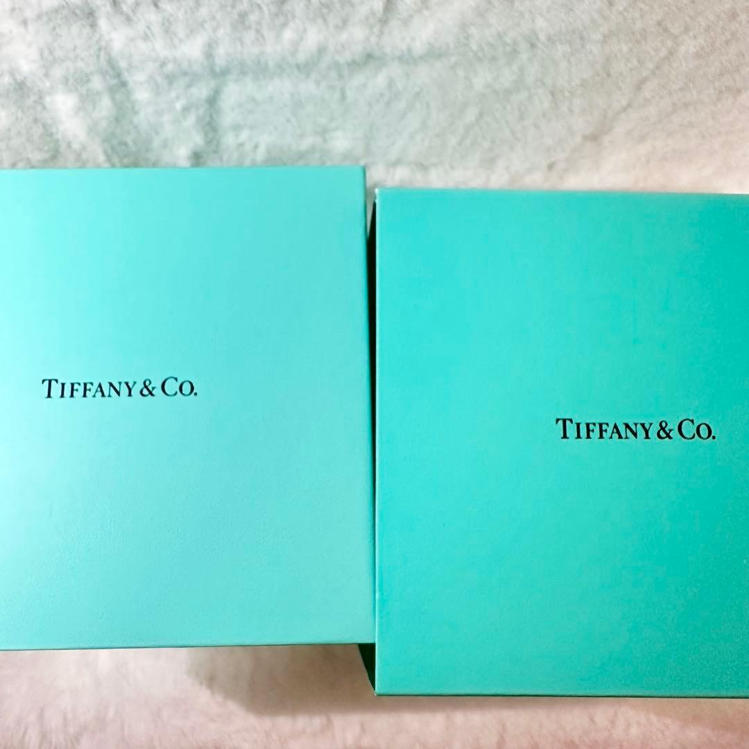 【新品・非売品】希少　ティファニー メリーゴーランド オルゴール　スノードーム