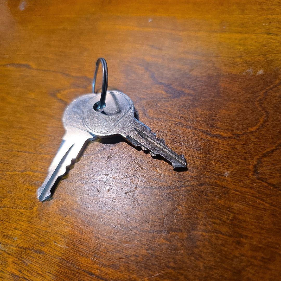 （専用）THULE ProRide591 プロライド591 サイクルキャリア