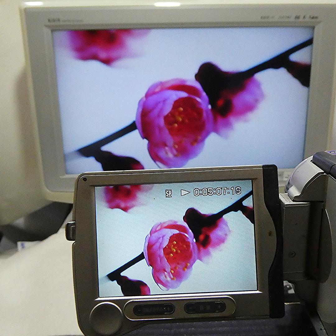 動作品 ソニーDCR-TRV30 MiniDV ビデオカメラDVDダビングに最適