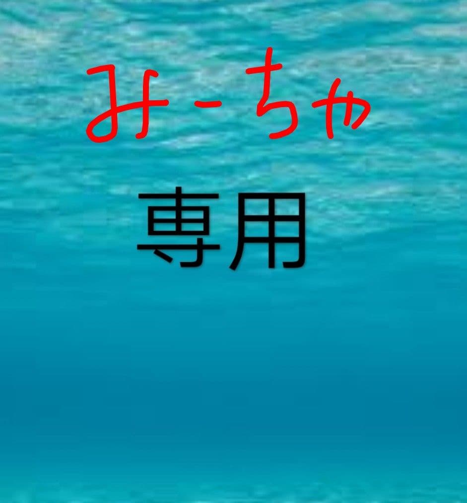 塩筋子２ｋ 特たらこ２ｋ みーちゃ