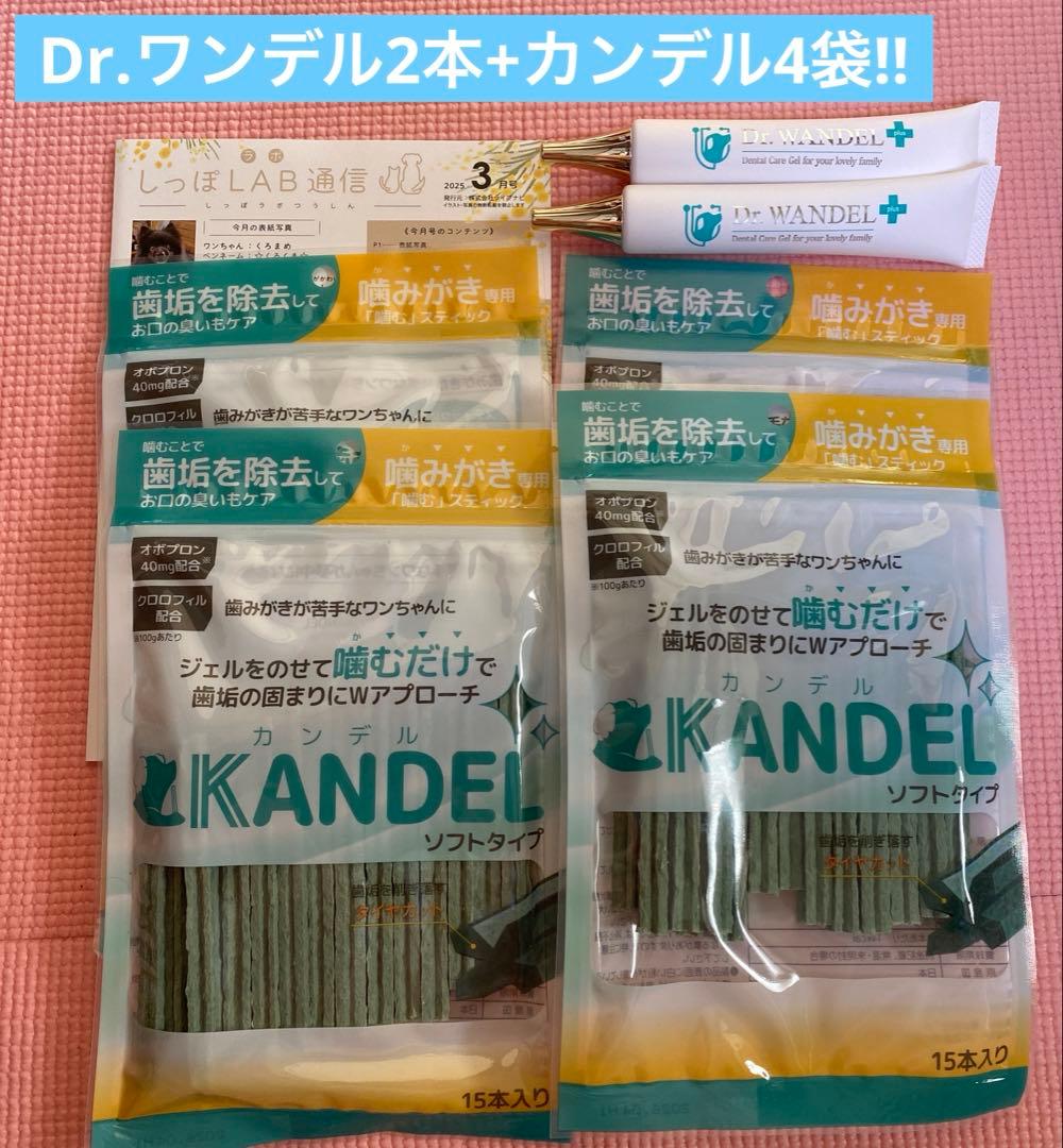 【6/3（火）本日限定値下げ中‼️】新品未使用!!Dr.ワンデル2本＋カンデル4袋