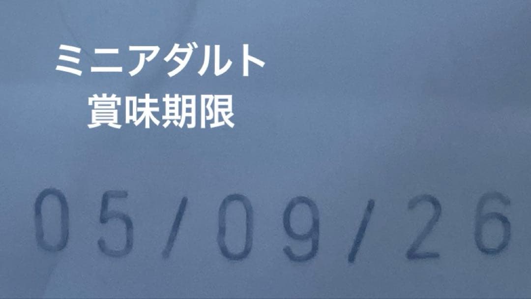  CANIN ミニアダルト15kg×2袋