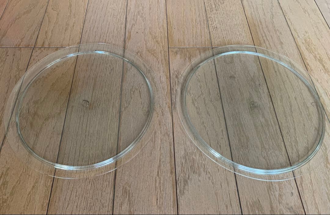 【新品】Peter Ivy リムプレート　2枚セット