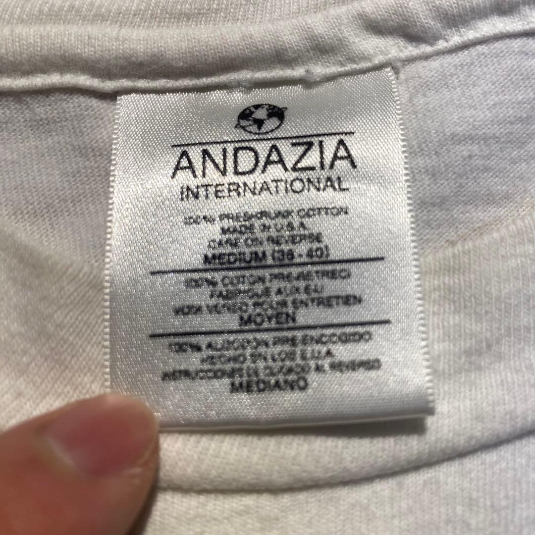 90s ANDAZIA 不思議の国のアリス　チェシャ猫　 ロンT レア　希少