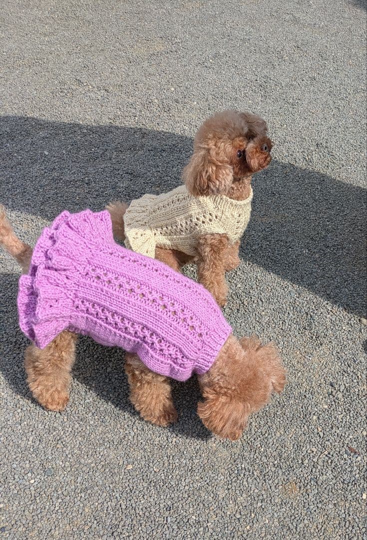 ニット背中側首周り