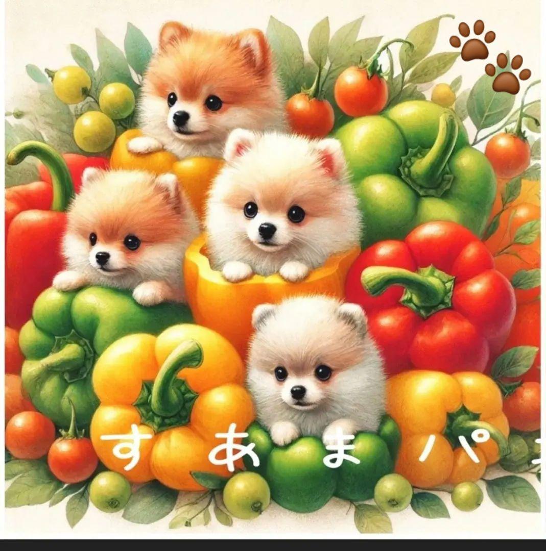 Yourelia様御確認用♪