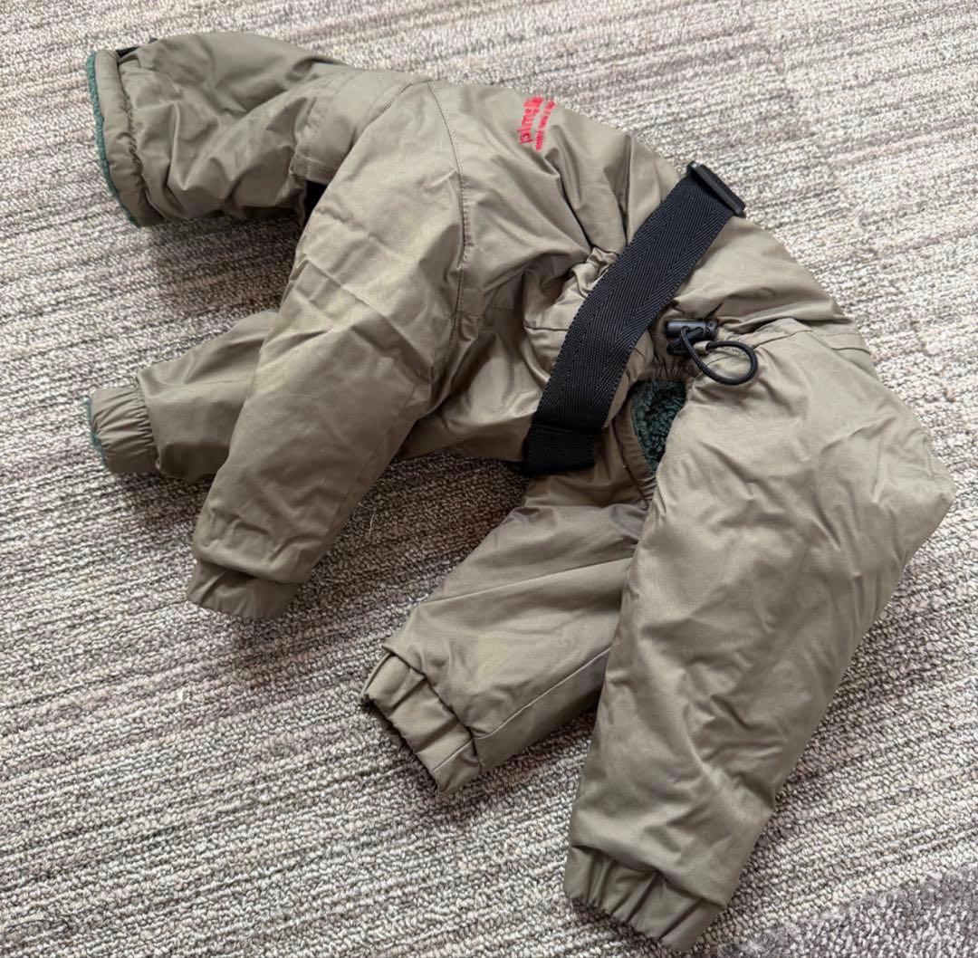 売り切り！早い者勝ち⭐︎インサレートスーツ イタグレ IS ピムリコ