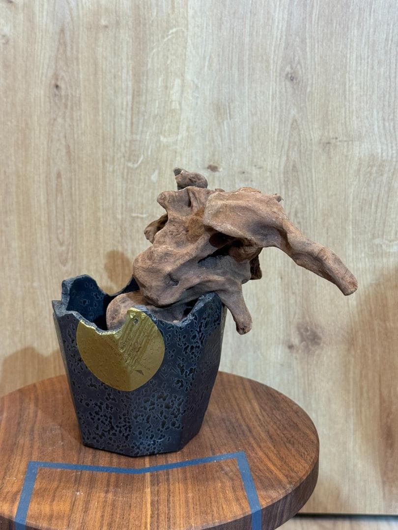 N/OH 澪標 山ノ月 ブラック SSサイズ