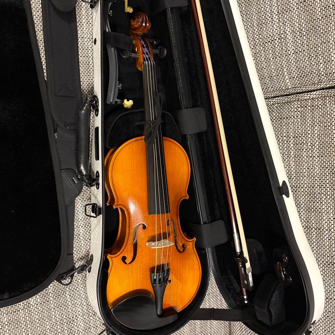 Reghin バイオリン4/4 カーボンマック