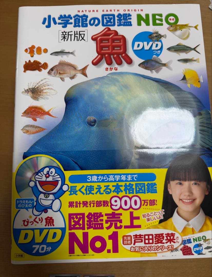 小学館の図鑑NEO 11冊セット　DVD欠品