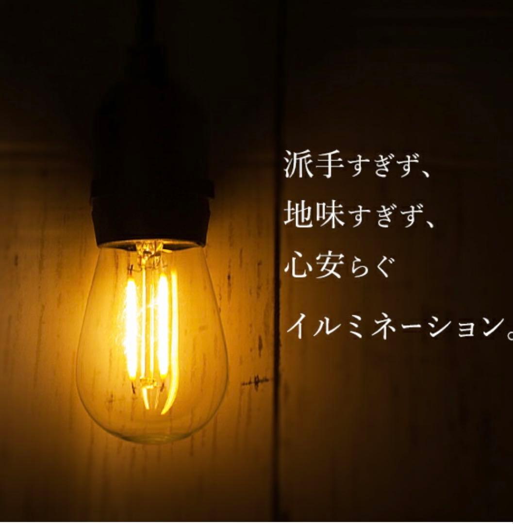 ガーデンライト レトロ電球 ストレート LED 15球 長さ14m 電球色