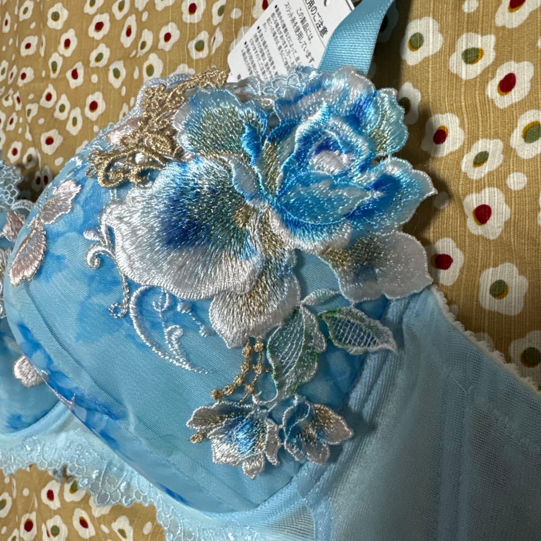 ワコールサルートe85 ショーツセット