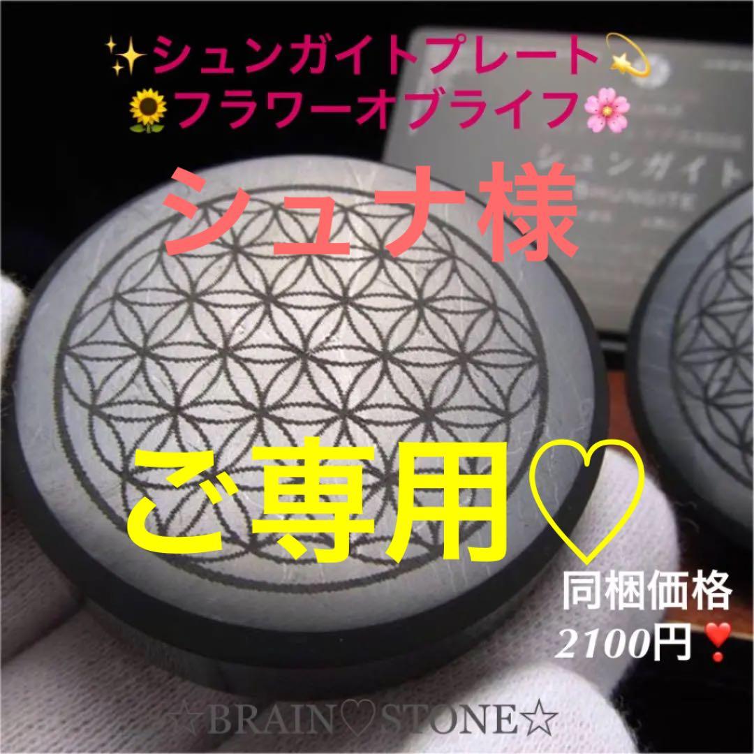 ★特選NEW★希少レア☆奇跡の石【シュンガイトフラワーオブライフプレート 】❤️