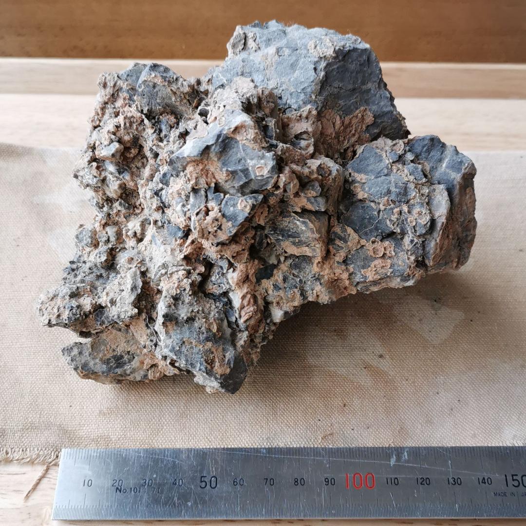 さざれ石 岐阜県 君が代