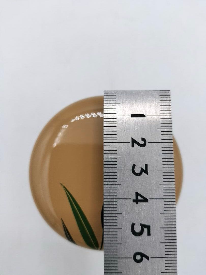 c667 中棗 白漆 翡翠蒔絵 蓋裏絵付 中村湖彩 木箱 茶道具 古物