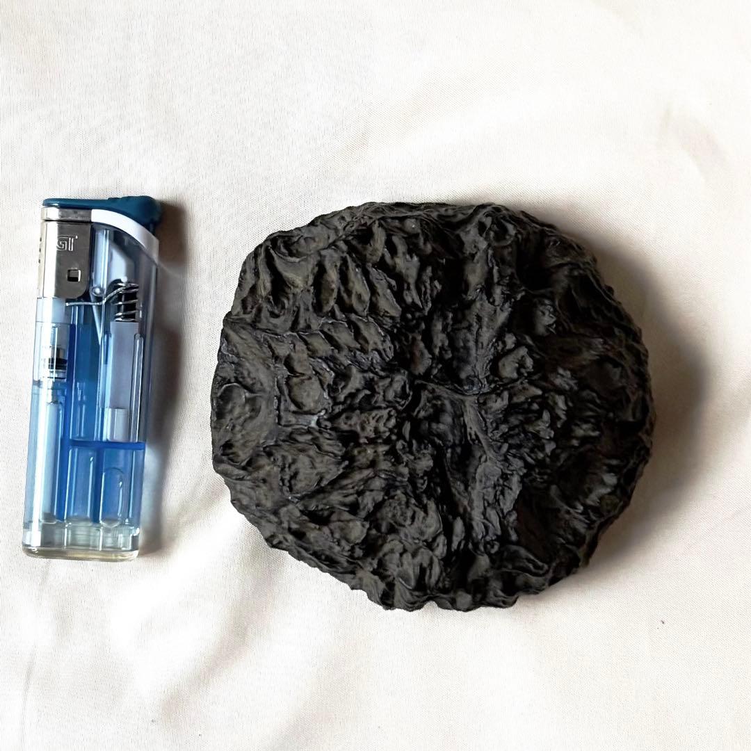 天然石　メロン馬蹄石　隕石　テクタイト　523g