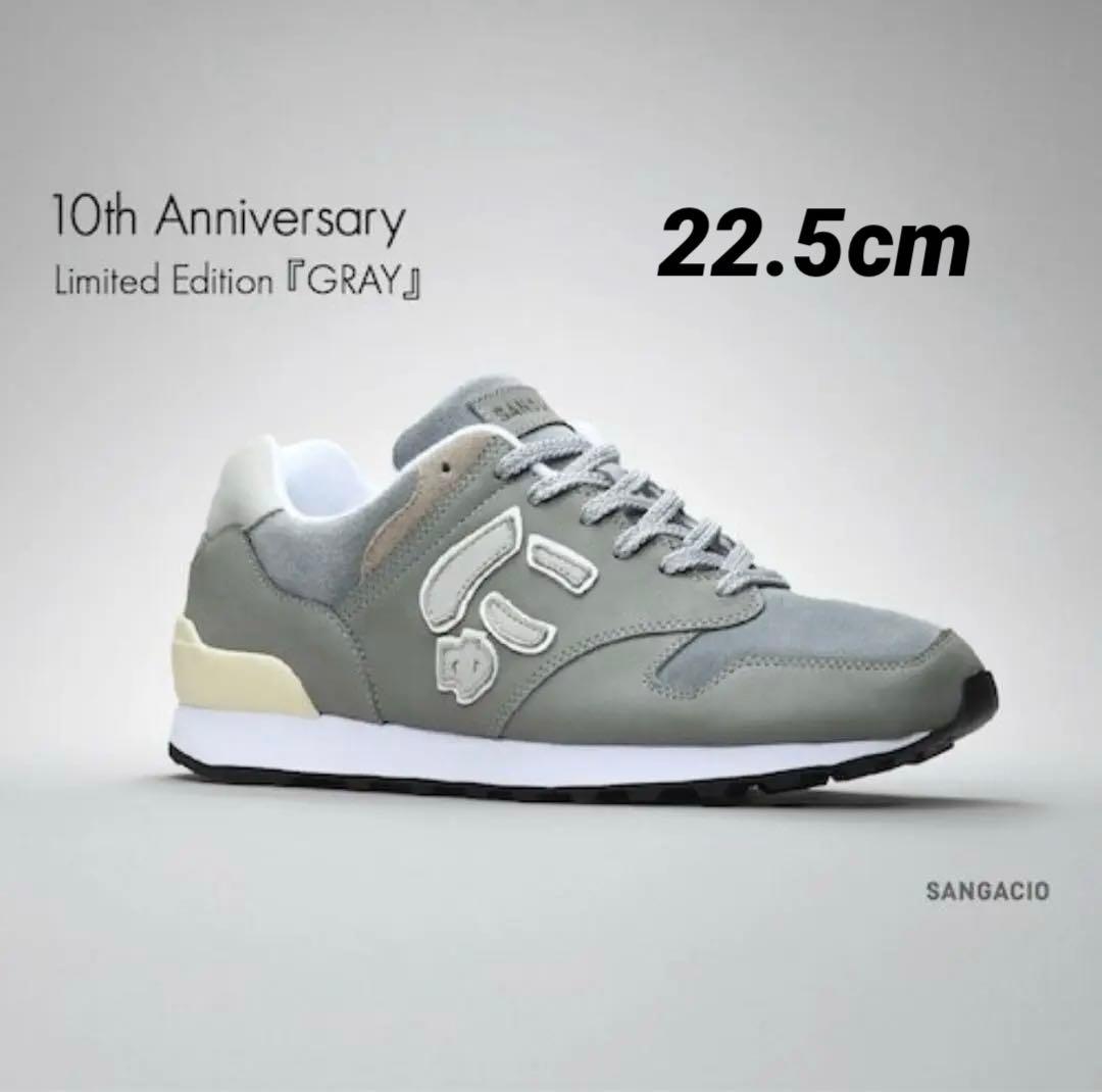 にゅ～ず『GRAY』10周年限定スニーカー【22.5cm】