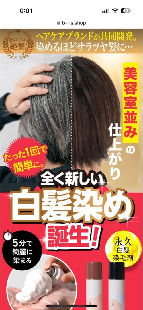 【新品未開封】b ris 白髪染め ダークブラウン 80g 3本セット
