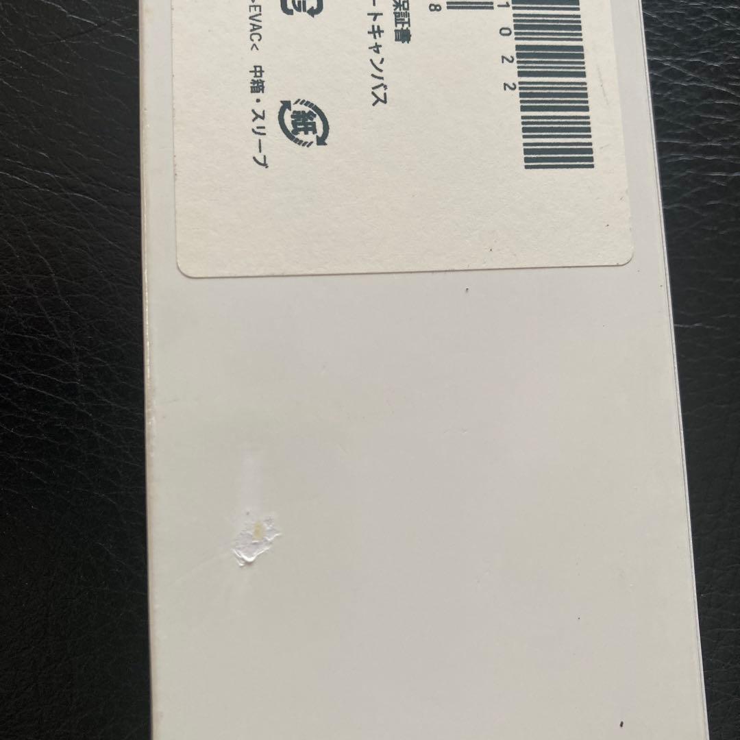 エプソン　スマートキャンバス　スヌーピー