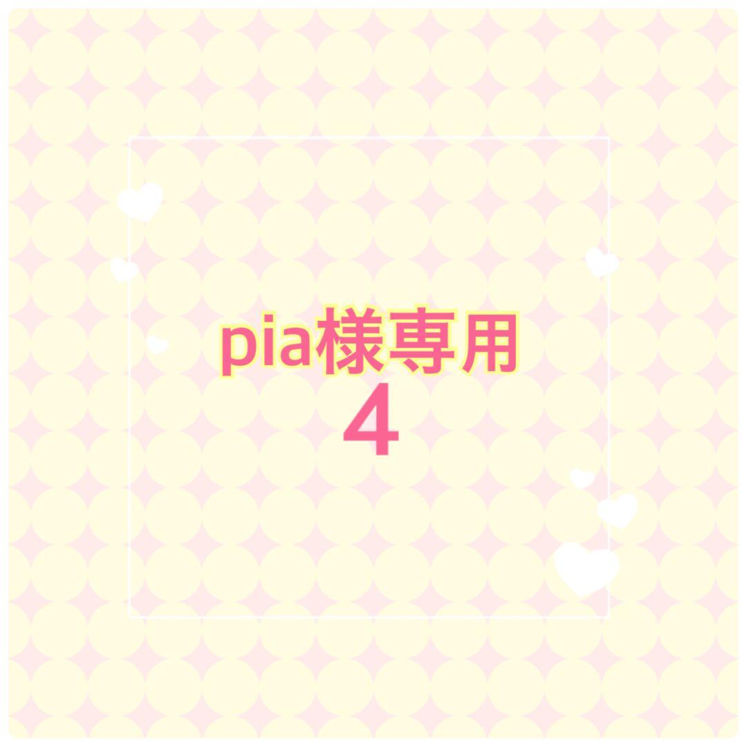 知育玩具 pia4
