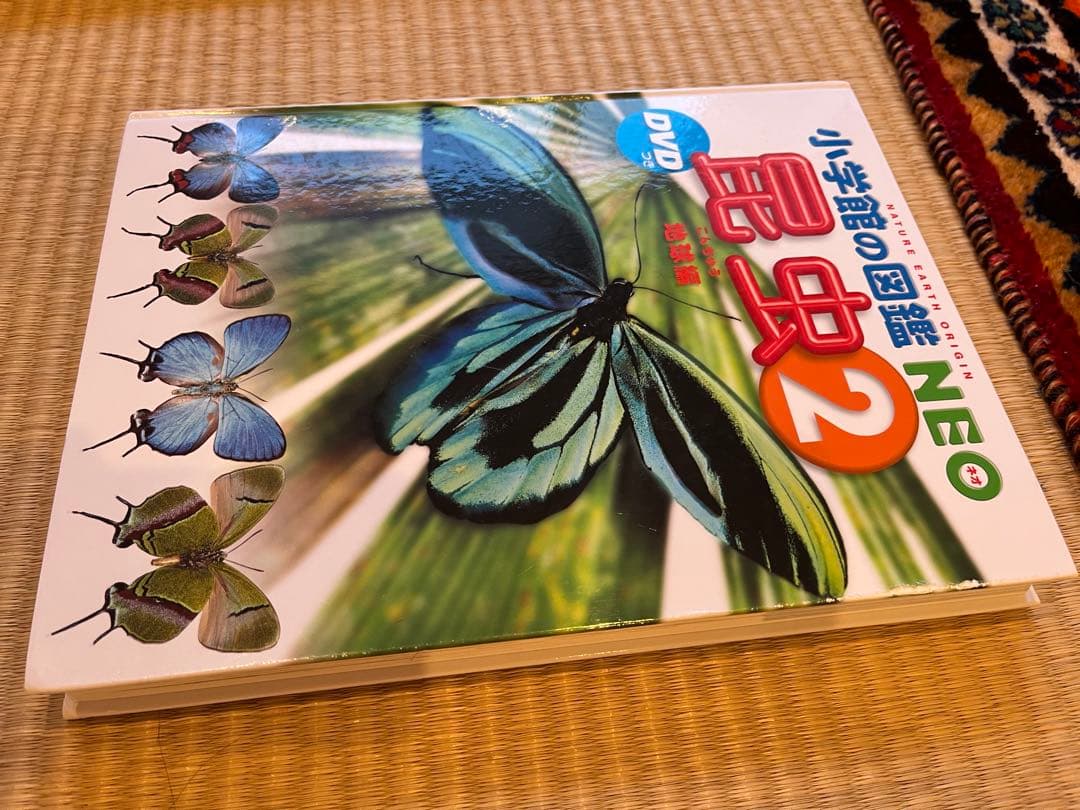 小学館の図鑑NEO 11巻セット