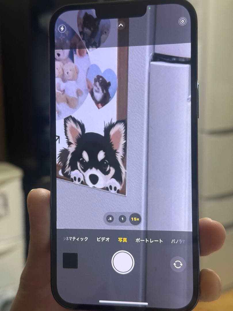 k*e様 Apple iPhone 13 Pro Maxシエラブルー 本体