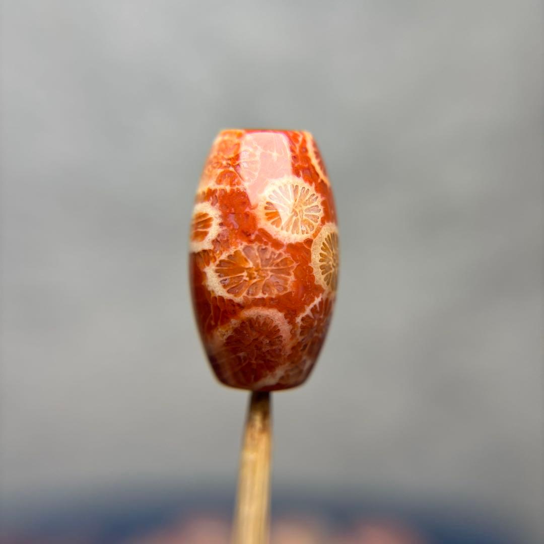 Nagiフォッシルコーラル　天珠　1-290