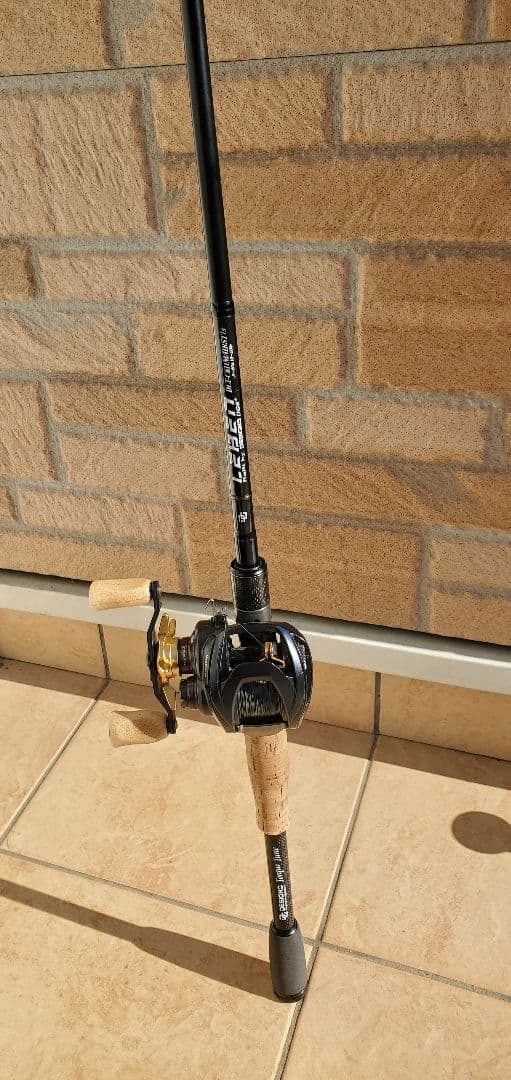 バス釣り引退セットスティーズAⅡデジーノレーベンエムスラ