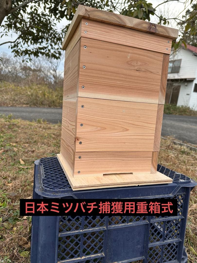 日本ミツバチ　重箱式巣箱　飼育捕獲用