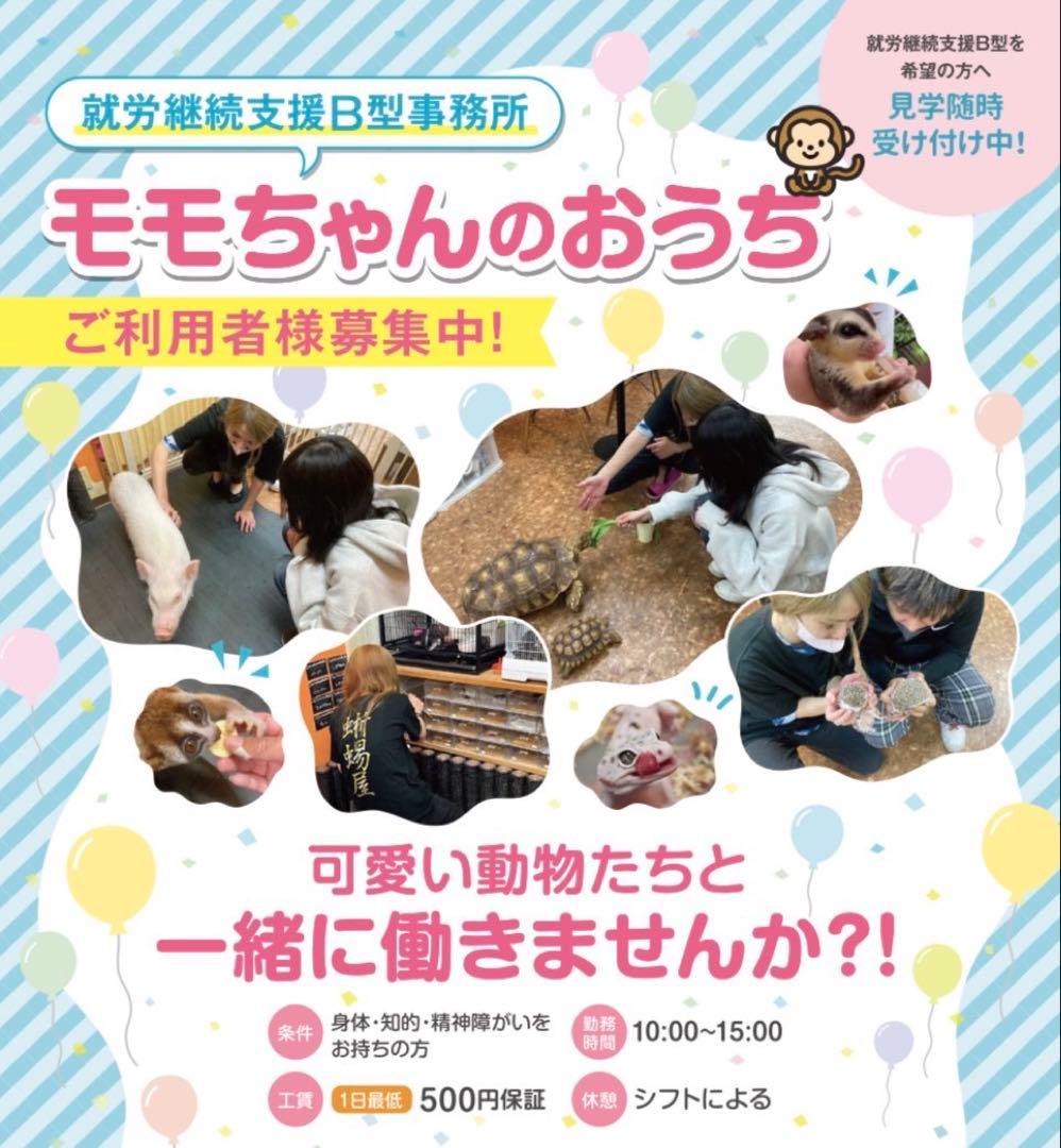 ニコニコラット