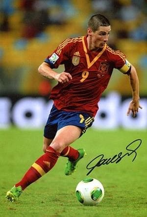 スペイン代表　フェルナンド・トーレス　直筆サイン入りフォト