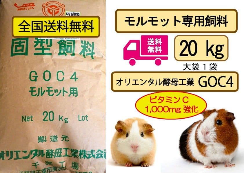 オリエンタル酵母 GOC4 モルモット飼育繁殖用