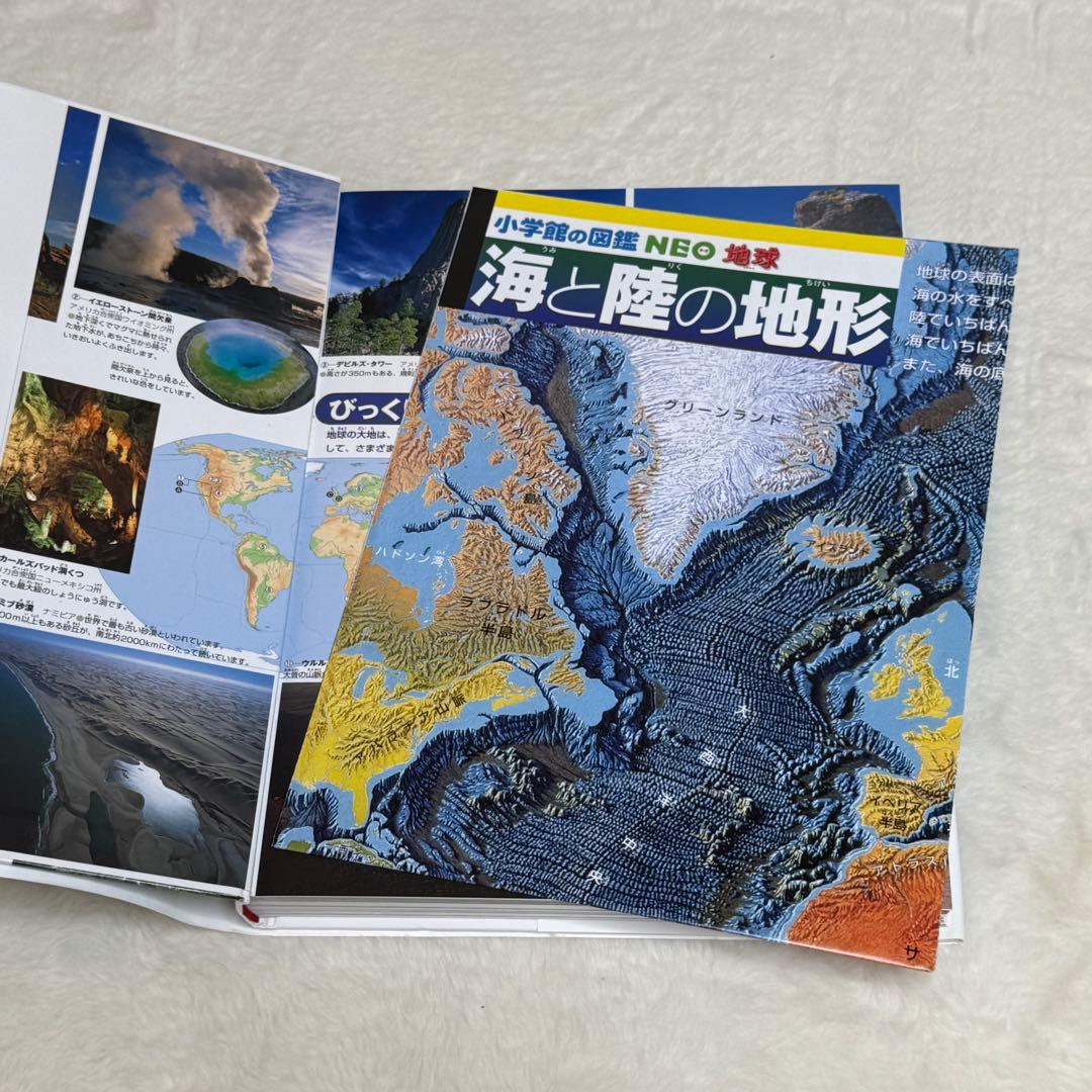 【良品・カバーあり】小学館の図鑑NEO 全巻20冊セット